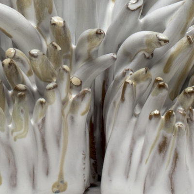 Sin título. Gres esmaltado. 10 x 14,5 x 13 cm. 2014<br>
Untitled. Glazed stoneware. 3.9 x 5.7 x 5.1 in. 2014

