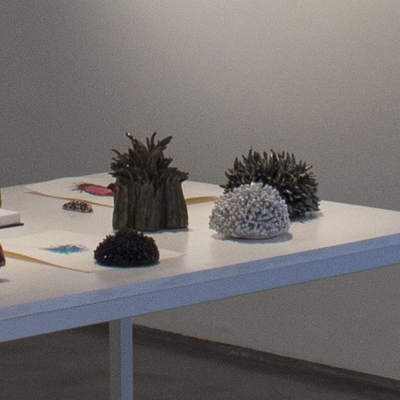 Vista de la exposición Vida Primaria, RO Galería de Arte, 2015<br>
View of Vida Primaria Show, RO Art Gallery, 2015
