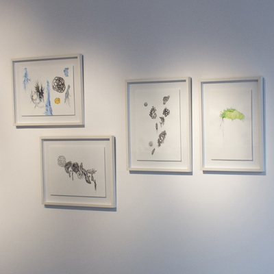 Vista de la exposición Vida Primaria, RO Galería de Arte, 2015<br>
View of Vida Primaria Show, RO Art Gallery, 2015
