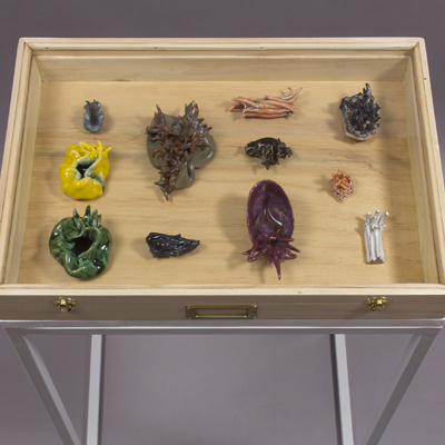 Sin título. Cerámica esmaltada, caja de madera y vidrio. 6.5 x 50 x 35 cm. 2015<br>
Untitled. Glaced ceramic, wood and glass box. 2.5 x 19.6 x 13.7 in. 2015