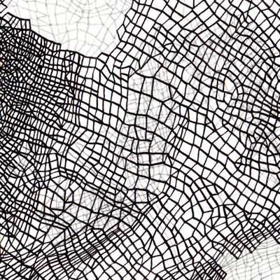 Sin título. Tinta y lápiz sobre papel. 17 x 25 cm. 2005<br>
Untitled. Ink and pencil on paper. 6.6 x 9.8 in. 2005

