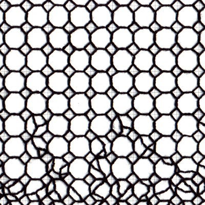 Sin título. Bordado y lápiz sobre papel. 17 x 25 cm. 2005<br>
Untitled. Embroidery and pencil on paper. 6.6 x 9.8 in. 2005
