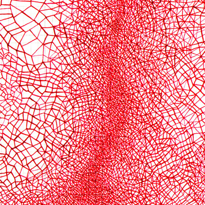 Sin título. Tinta y lápiz sobre papel. 17 x 24 cm. 2004<br>
Untitled. Ink and pencil on paper. 6.6 x 9.4 in. 2004
